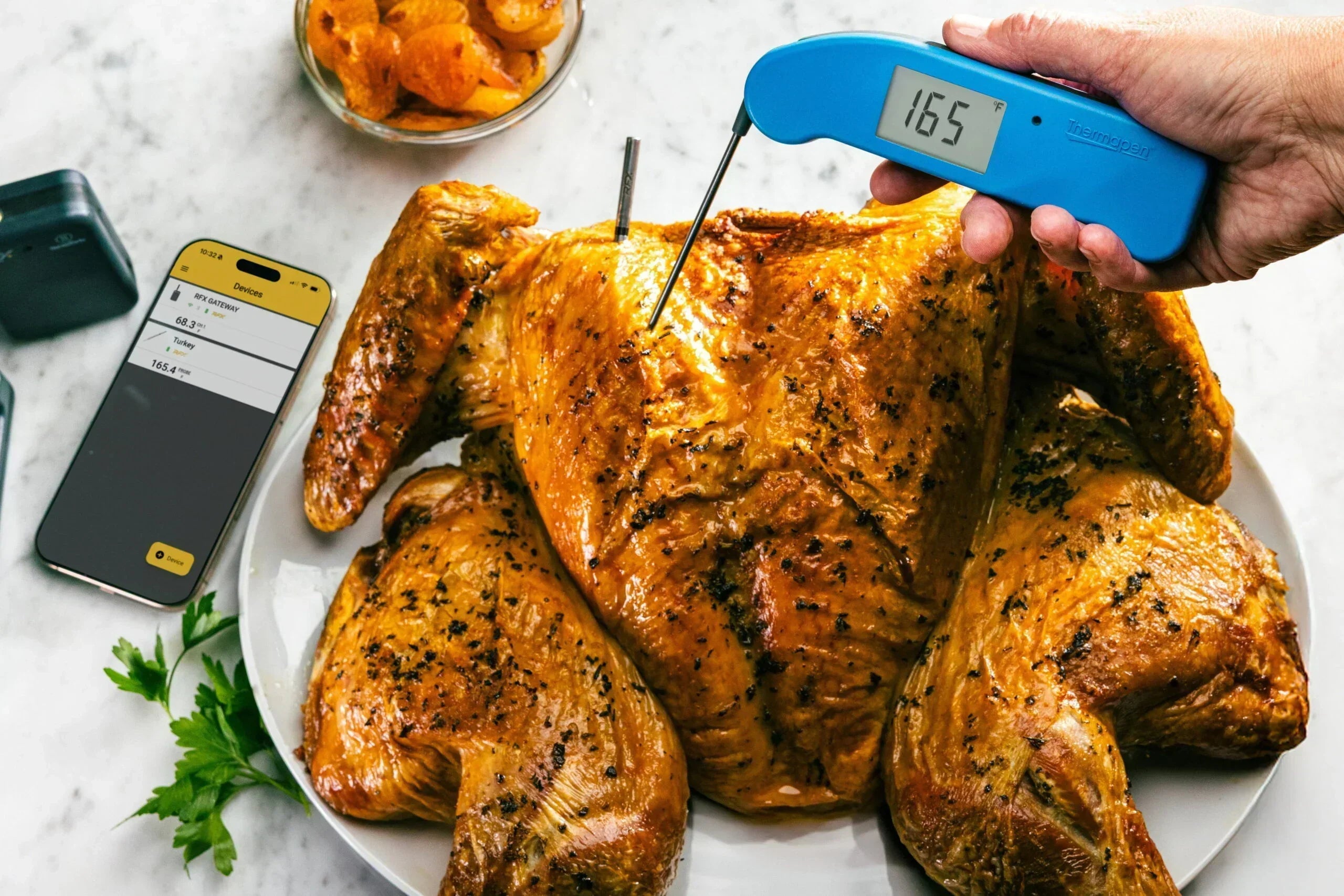 How to Cook a Perfect Turkey | ThermoWorks