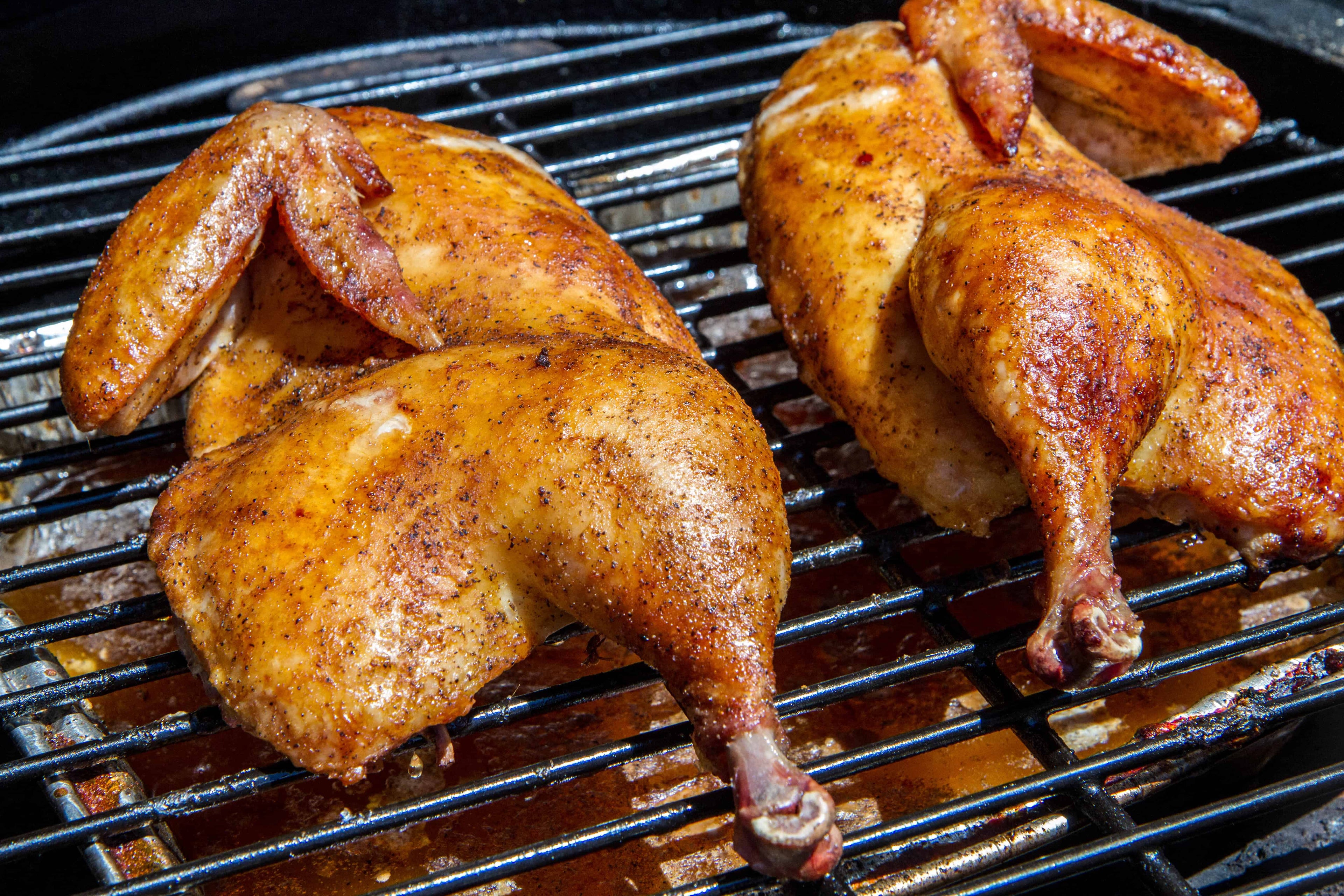 Perfect Temperatures for BBQ Chicken