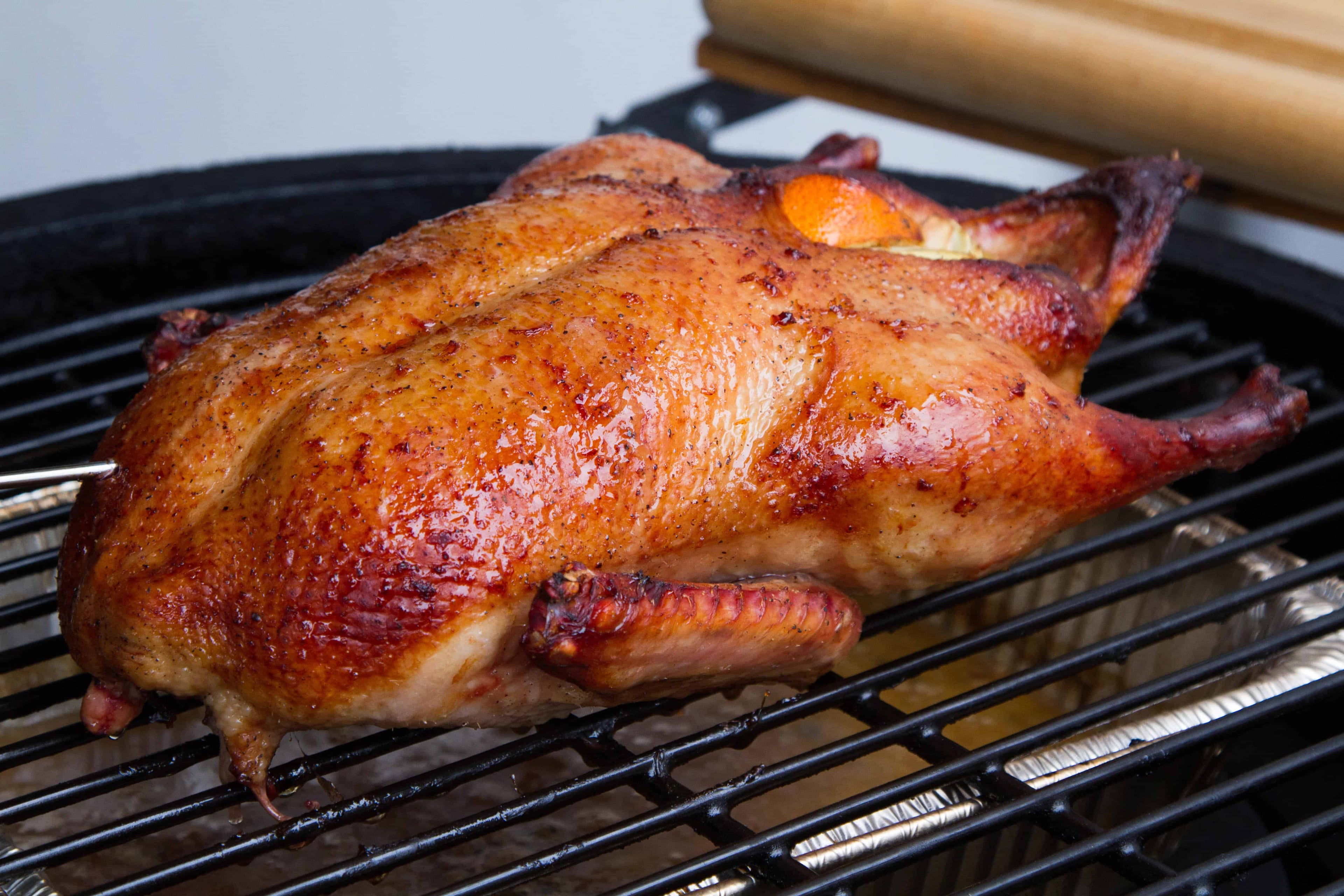 Holiday Roast Duck: Thermal Tricks for a Better Bird