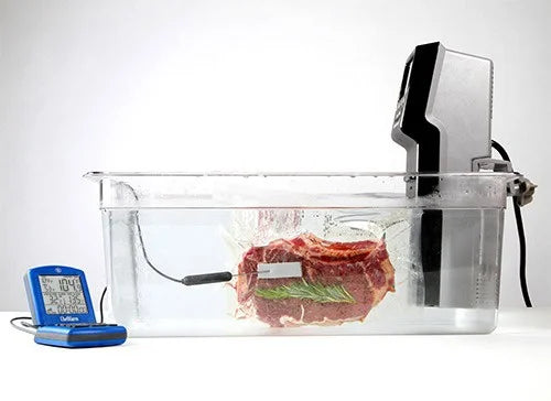 An Introductory Guide to Sous Vide Cooking