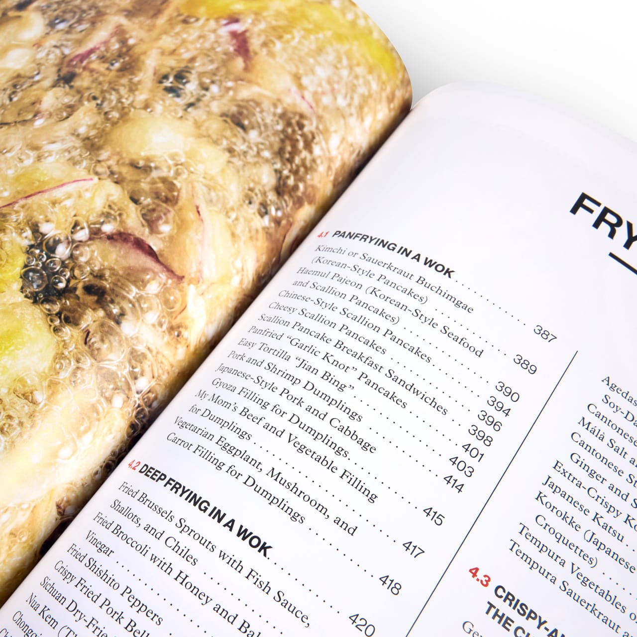 The WOK, Recipes and Techniques by J. Kenji Lopez-Alt