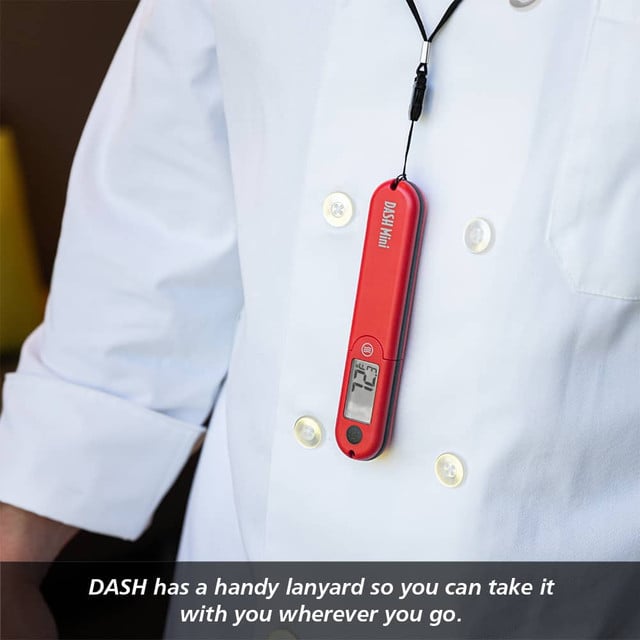 DASH™ Thermometer