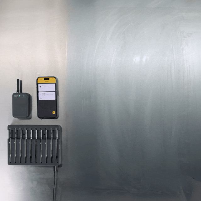 RFX MEAT™ 10-Probe Charging Block