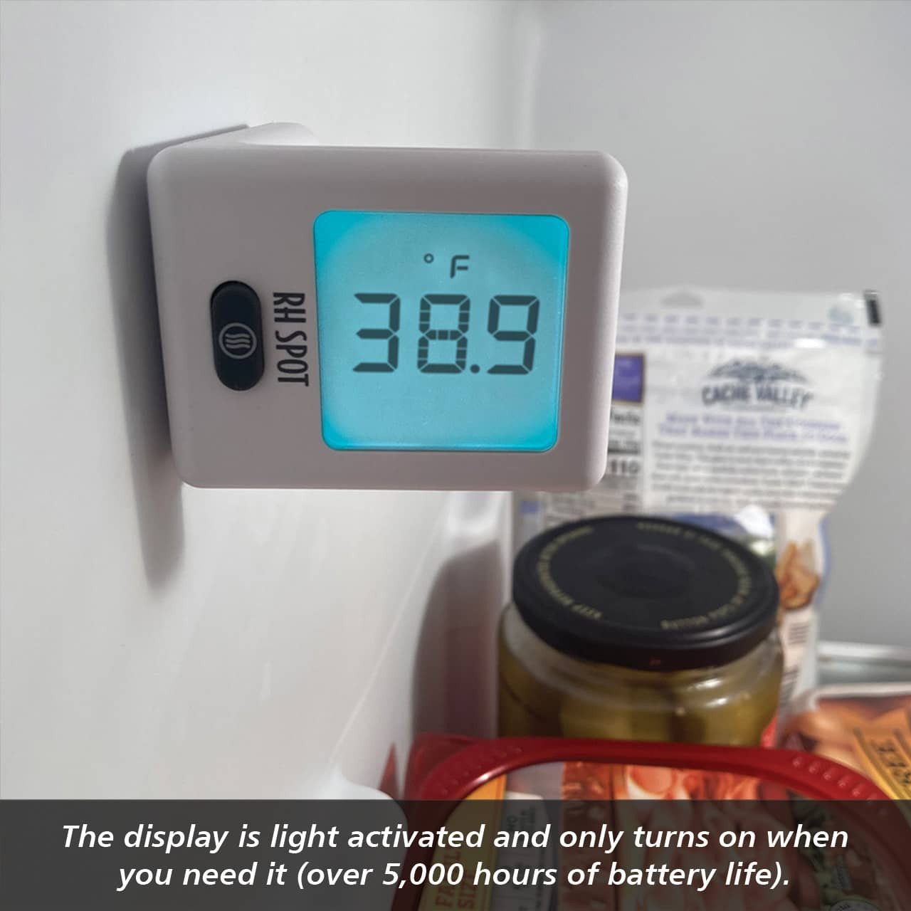 RH SPOT® - Temperature and Humidity