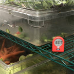 SPOT™ - The Fridge & Everywhere Thermometer